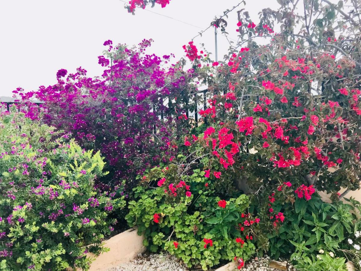 Casa Fletch Bed and Breakfast El Salado Buitenkant foto